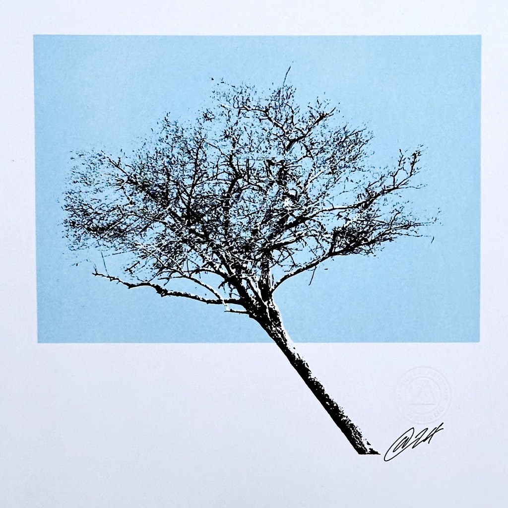 Lido in Winter –&nbsp;Ilkley